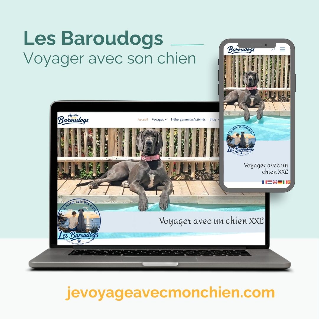 Voyageravecsonchien